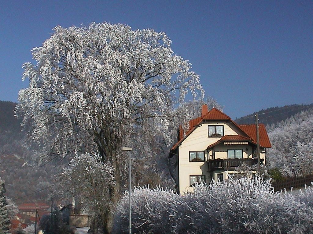 Ferienwohnung Panorama Rauenstein Exteriér fotografie