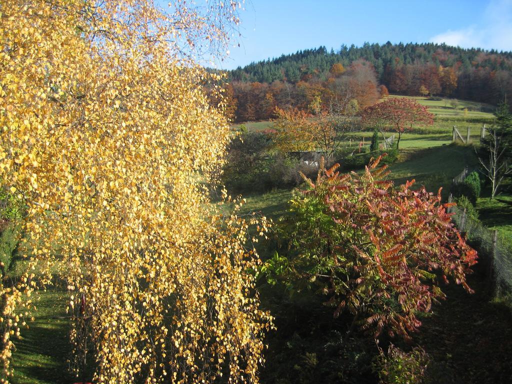 Ferienwohnung Panorama Rauenstein Exteriér fotografie