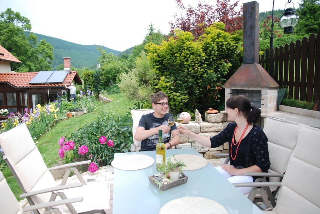 Ferienwohnung Panorama Rauenstein Exteriér fotografie